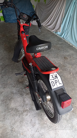 Califfone rizzato da vedere