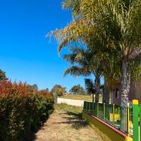 Palme & Cicas( Gizzeria-Mortilla)