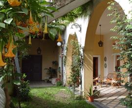 La Baronessa B&B appartamenti in villa /giardino