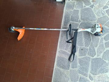 frullino orto