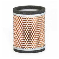 filtro aria Triumph ThunDerbird T2209547