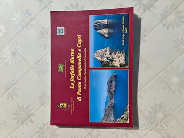 Le farfalle diurne di Punta Campanella e Capri