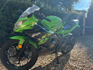 NINJA KAWASAKI 125cc 2019