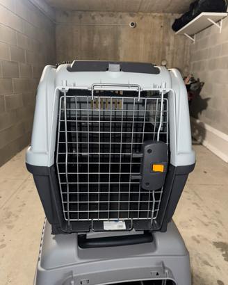 Kennel italo 3 iata