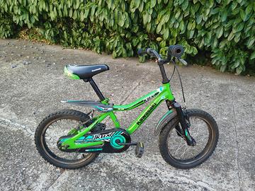 Bicicletta Kawasaki Bambino Verde 
