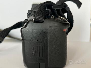 Nikon D3100