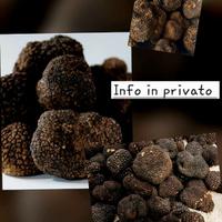 Tartufo nero della Lessinia