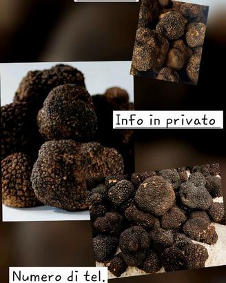 Tartufo nero della Lessinia