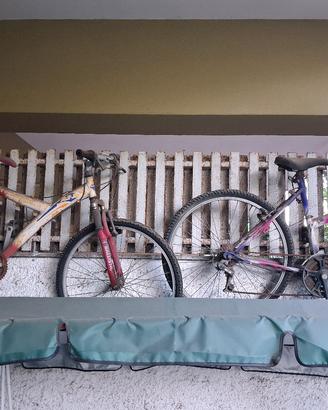 biciclette