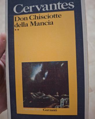 Don chisciotte della mancia
