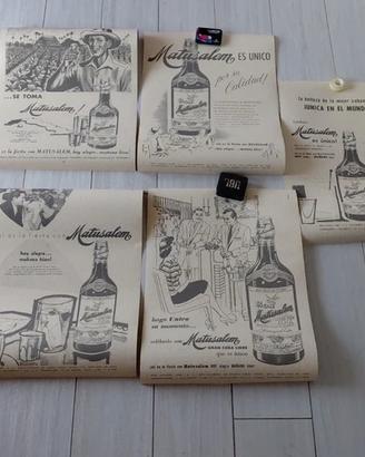 Lotto lot 5 Poster decoration Rum Matusalem memora