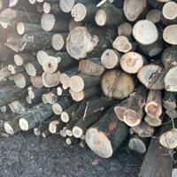 Legna in stanga da ardere