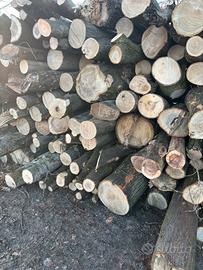 Legna in stanga da ardere