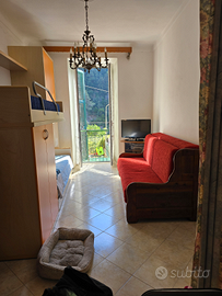 Alloggio a olivetta sanMichele 13km dal mare (IM)