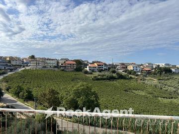 STABILE COMMERCIALE CON PIAZZALE E APPARTA