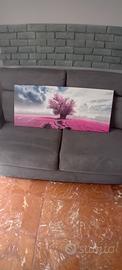 Quadro 