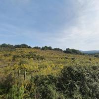 Terreno Agricolo con Progetto di Casa Colonica