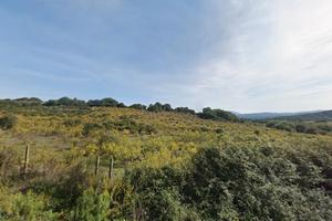 Terreno Agricolo con Progetto di Casa Colonica