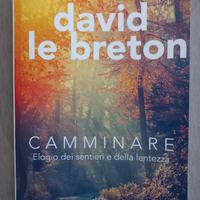 Camminare di D. Breton.