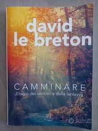Camminare di D. Breton.