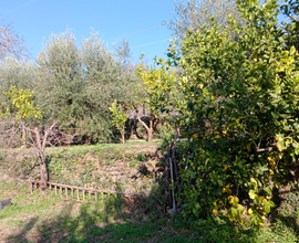 Terreno agricolo vendesi