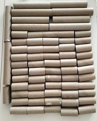 Rotoli cartone vuoti carta igienica assorbente