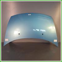 Cofano Motore AZZURRO CITROEN C3 2a Serie 2005 201
