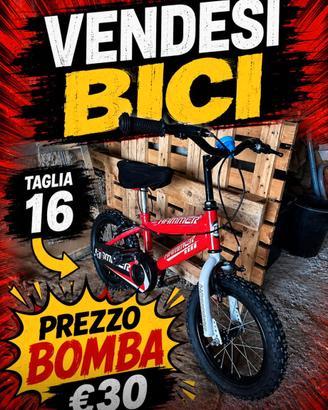 Bici da bambino hammer