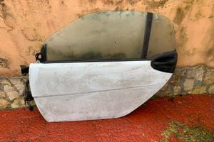 Smart 451 plastiche