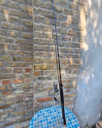 Canna da Pesca spinning
