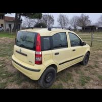 Panda Benzina/Metano