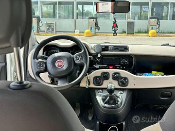 Fiat Panda autocarro 4 posti 2014