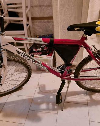 Bici Frejus 26 mtb