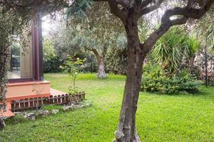 Il Giardino di Seba