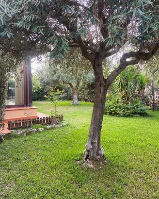 Il Giardino di Seba