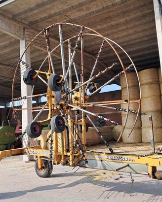 Giroranghinatore Borello