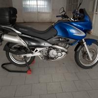 Suzuki XF Freewind 650 - 2002