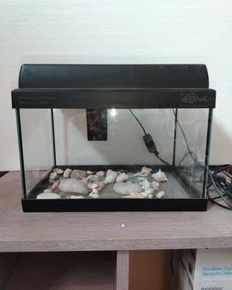Aquario 