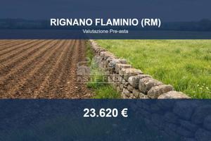 Immobile in asta di 660 m² a Rignano Flaminio