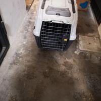 trasportino per auto 