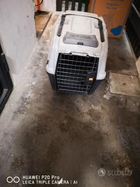 trasportino per auto 