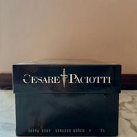 Scarpa stringata Cesare Paciotti