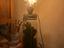 Immagine 2