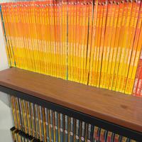 ranma manga serie completa