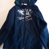 Felpa dinosauro bambino 