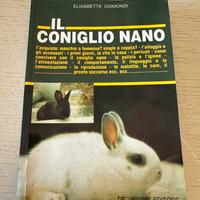Il coniglio nano