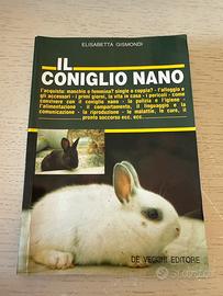 Il coniglio nano