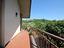Immagine 25