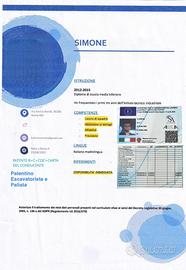 Autista b-c-cqc E patentino escavatorista