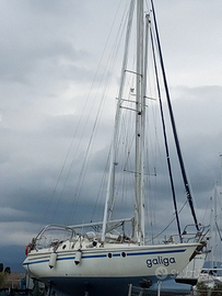 Vela 9,80 m- Prototipo unico ispirato a Balaton 31